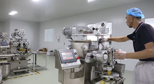 黃河灘區群眾致富好愿景