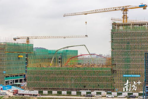 視頻 按下 開工鍵 ,活力滿滿的濱海灣回來了